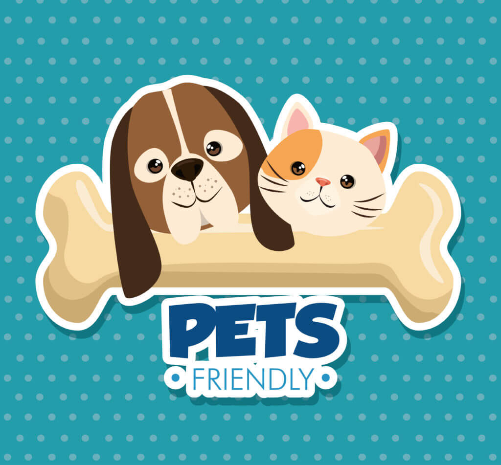 dog and cat with bone cute mascots vector illustration design