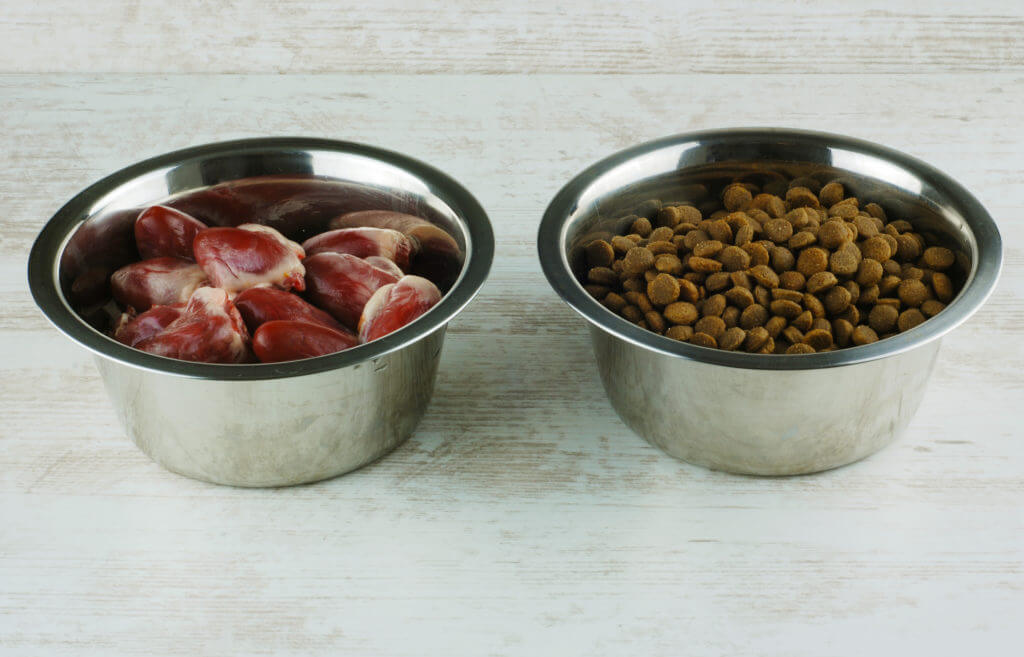 Two bowls with chicken hearts and dry food on the white background. Empty copy space for text