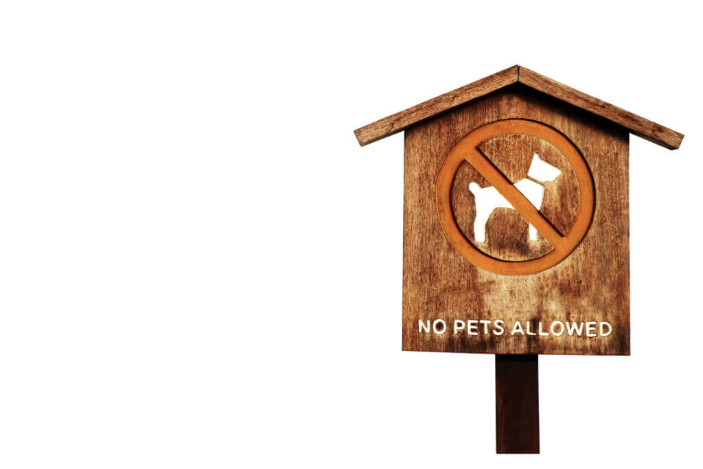 No pet allow wood banner and pillar wood isolated