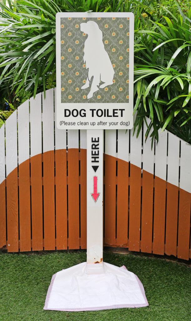 Dog toilet outside