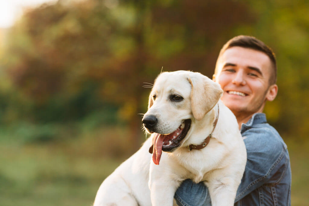 Smiling man with his dog Labrador in hands in park at sunset