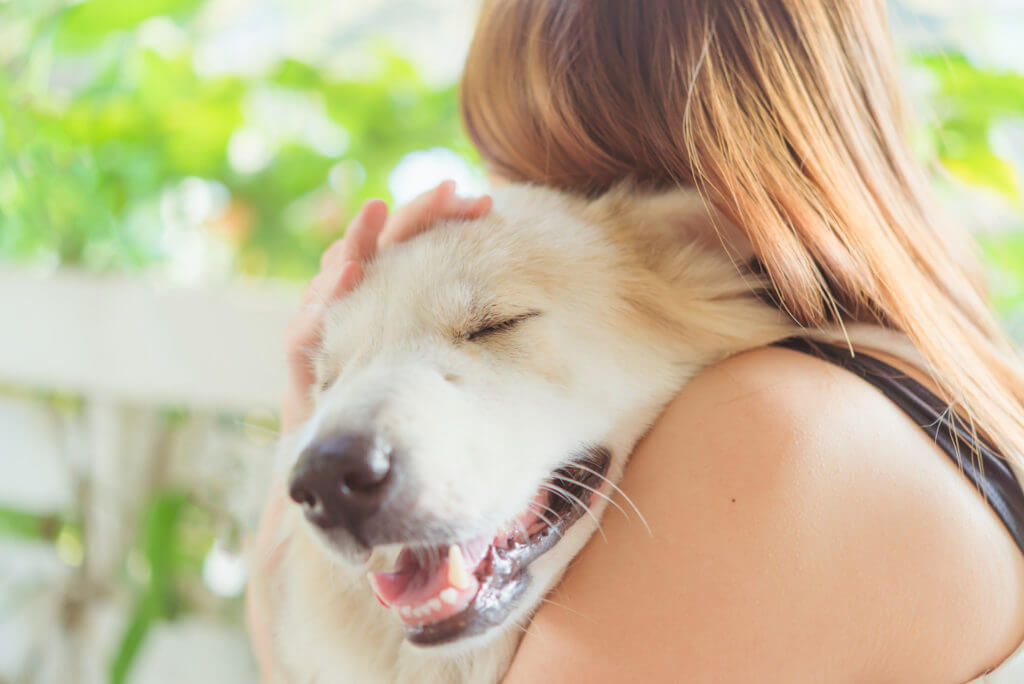 Woman hugging her dog friendly pet closeup big dog,happiness and friendship. pet and woman.