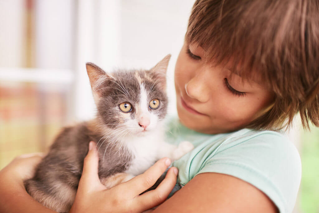 Little boy holds black and white kitty on his shoulder