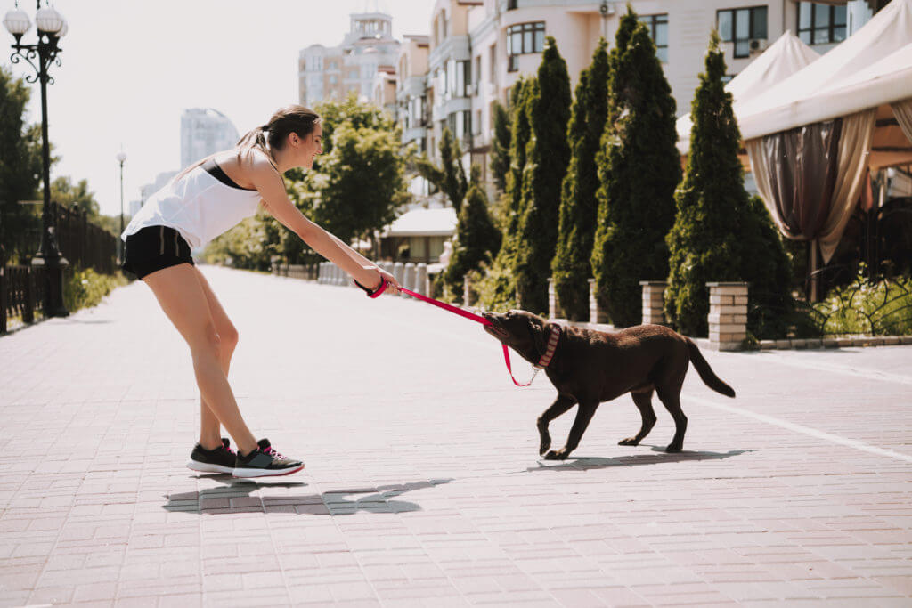 Sportswoman is Playing with Dog on City Promenade