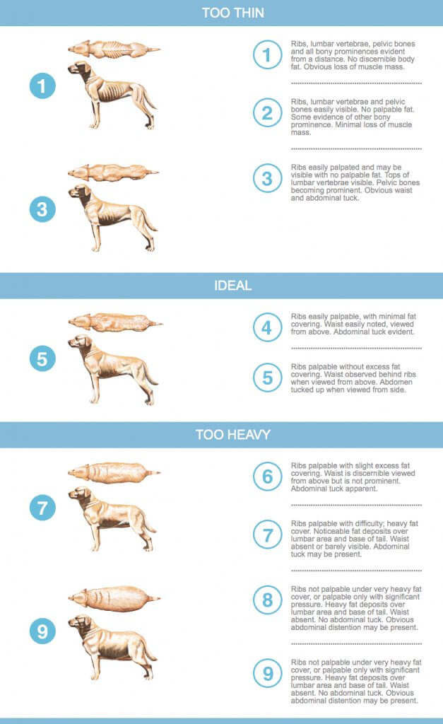 ObesityTable