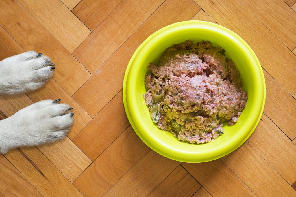 best wet dog food in a bowl