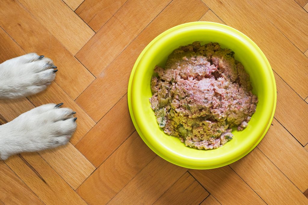 Best Wet Dog Food For Dog With Allergies at Diana Johnson blog