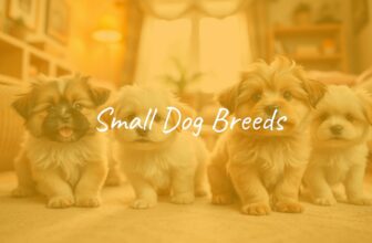Cute small dog breeds, fluffy and playful, sitting in a cozy home environment, bright and cheerful atmosphere, realistic.