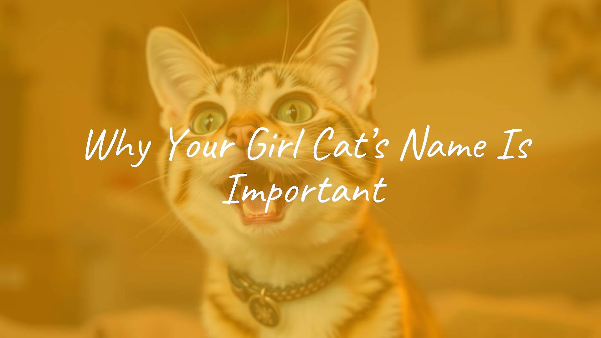 A happy female cat with expressive eyes, cozy home setting, warm lighting, playful personality, name tag with a cute name, realistic.