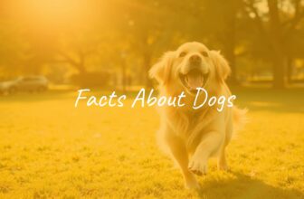 A happy golden retriever playing fetch in a sunny park, friendly and lively atmosphere, realistic.