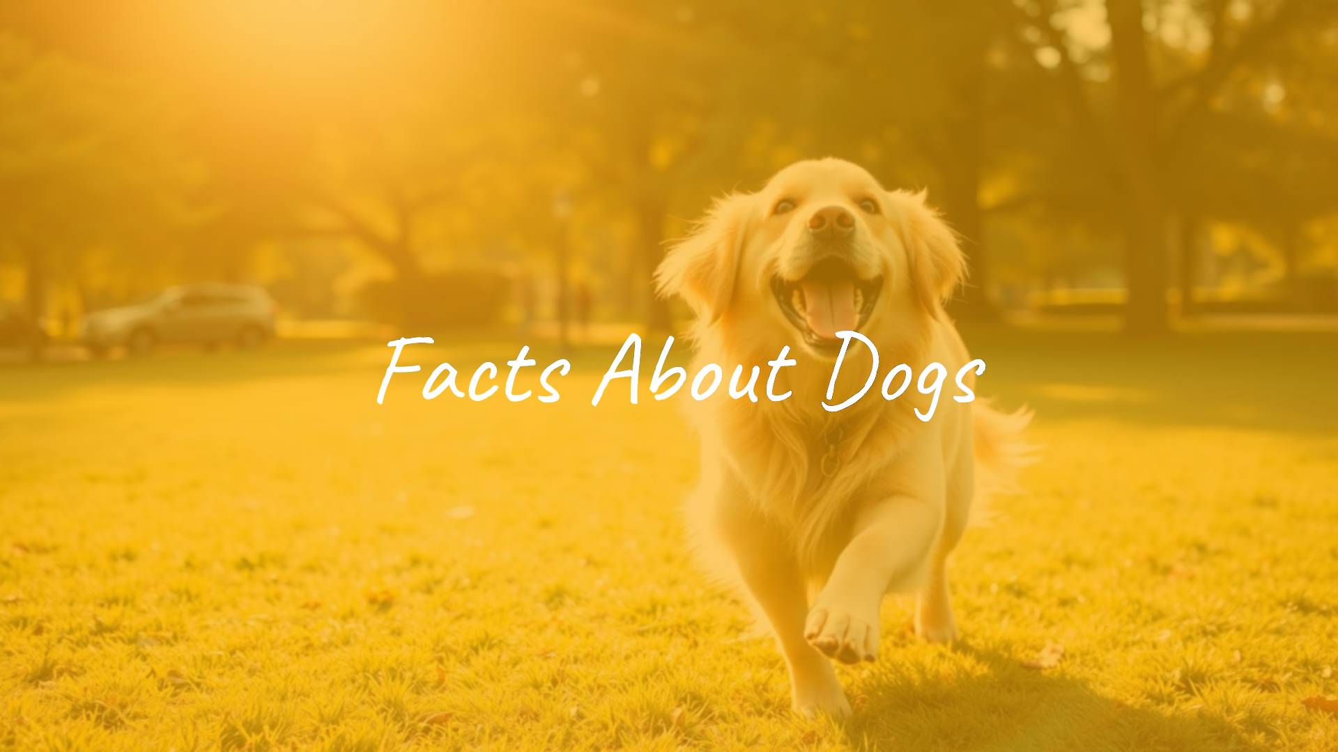 A happy golden retriever playing fetch in a sunny park, friendly and lively atmosphere, realistic.