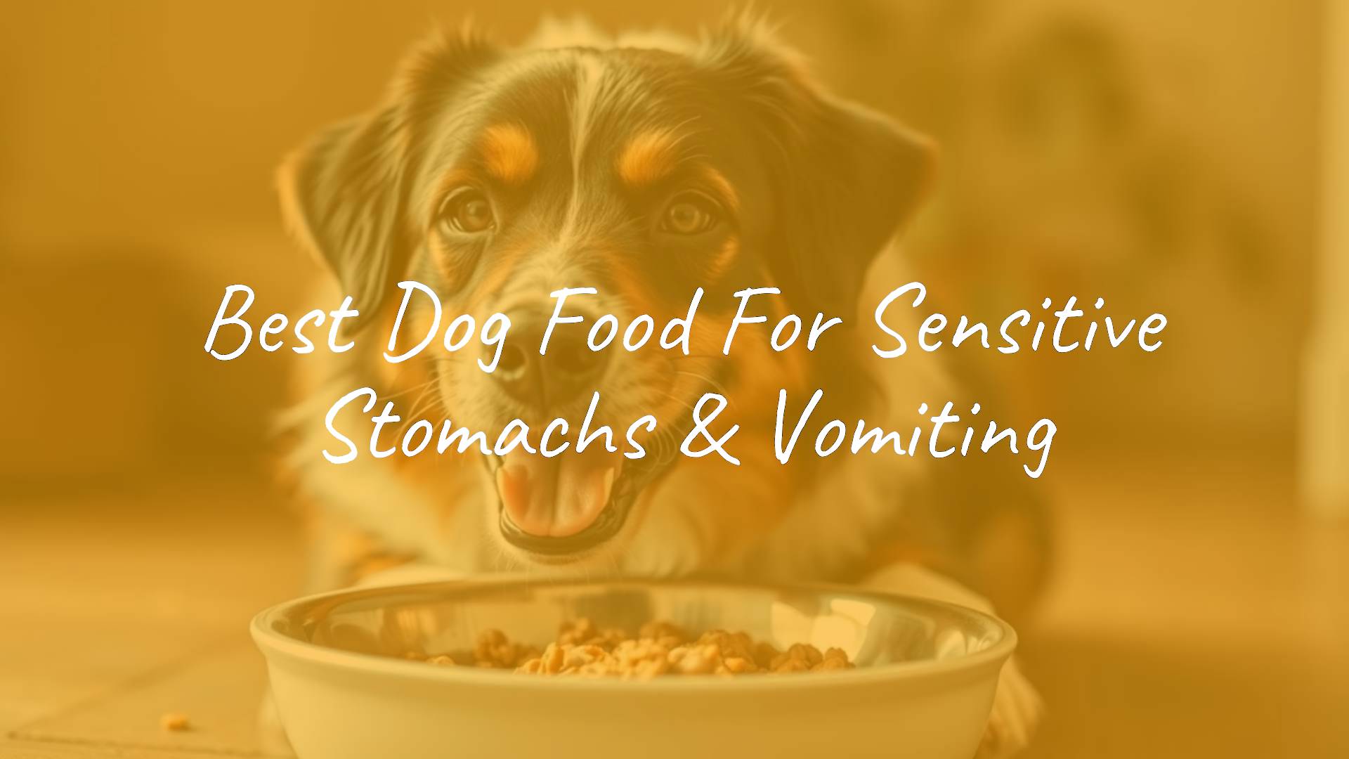 Healthy dog eating special sensitive stomach dog food, clean bowl, happy and content expression, natural setting, soft lighting, realistic.