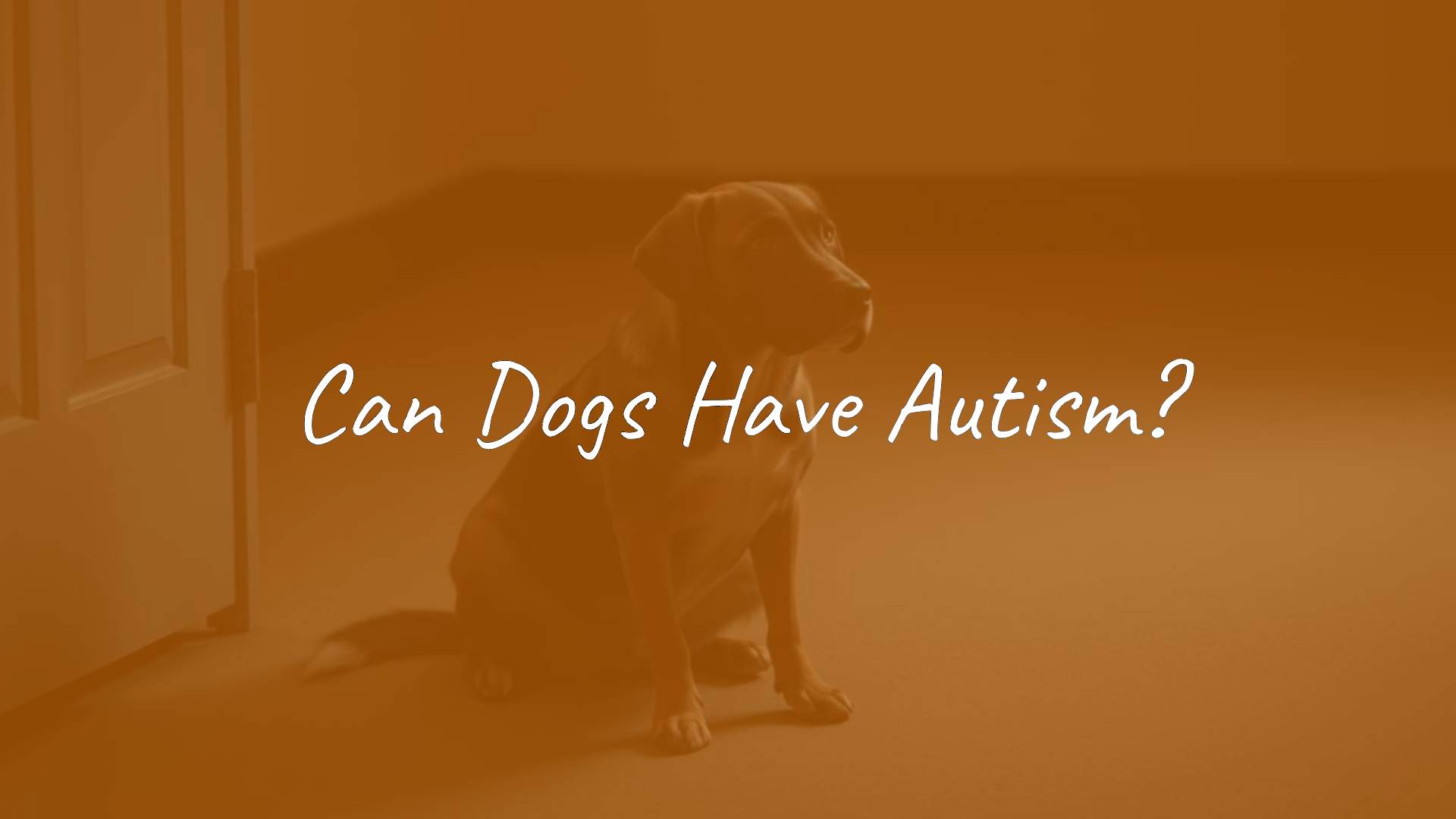 A thoughtful-looking dog sitting alone in a quiet room, soft lighting, slightly muted colors, realistic style.