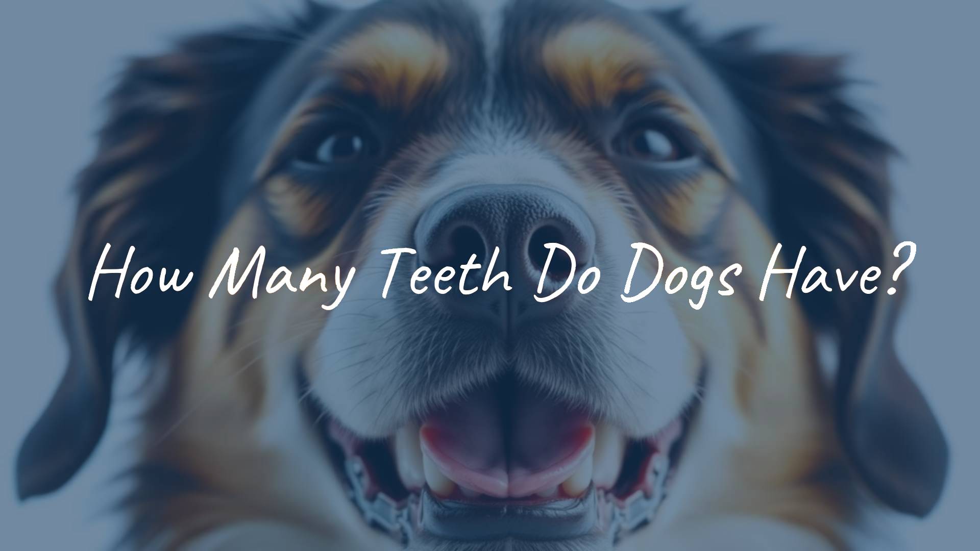 A close-up of a happy adult dog showing its teeth, bright background, clean and healthy teeth, realistic.