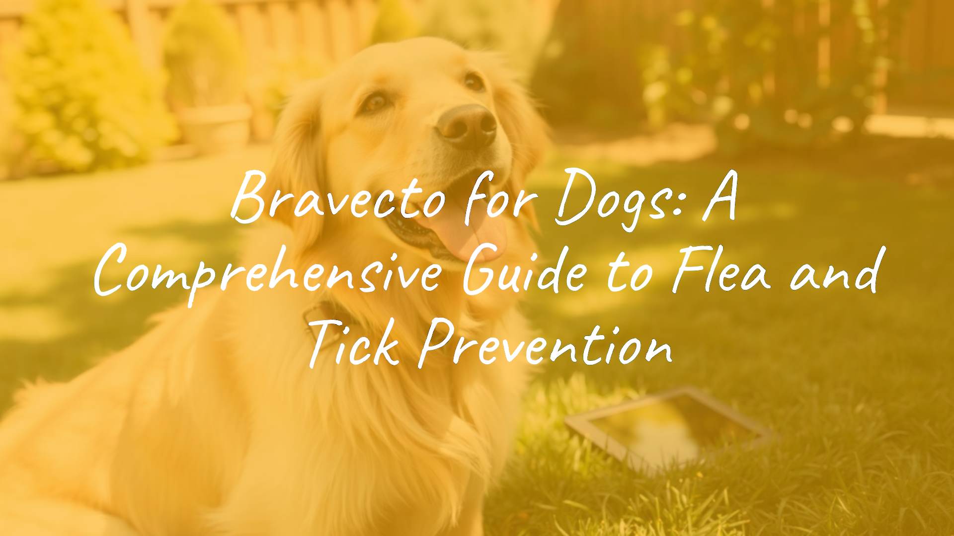 A happy, healthy golden retriever in a sunny backyard, wearing a collar, with a Bravecto chewable tablet nearby, vibrant and clean environment, realistic.