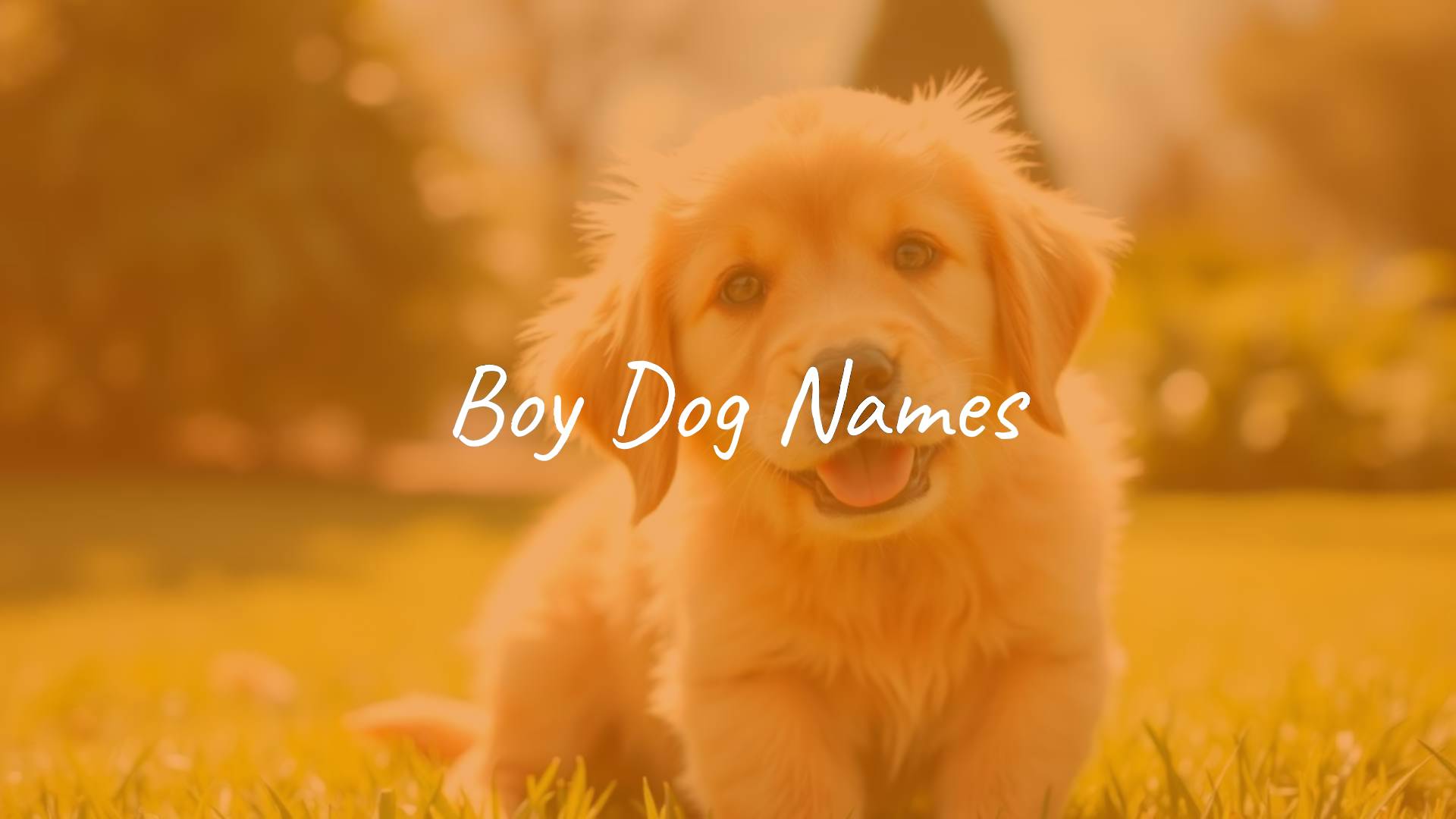 A happy golden retriever puppy sitting on a green lawn, looking at the camera with a playful expression, bright sunlight, realistic.
