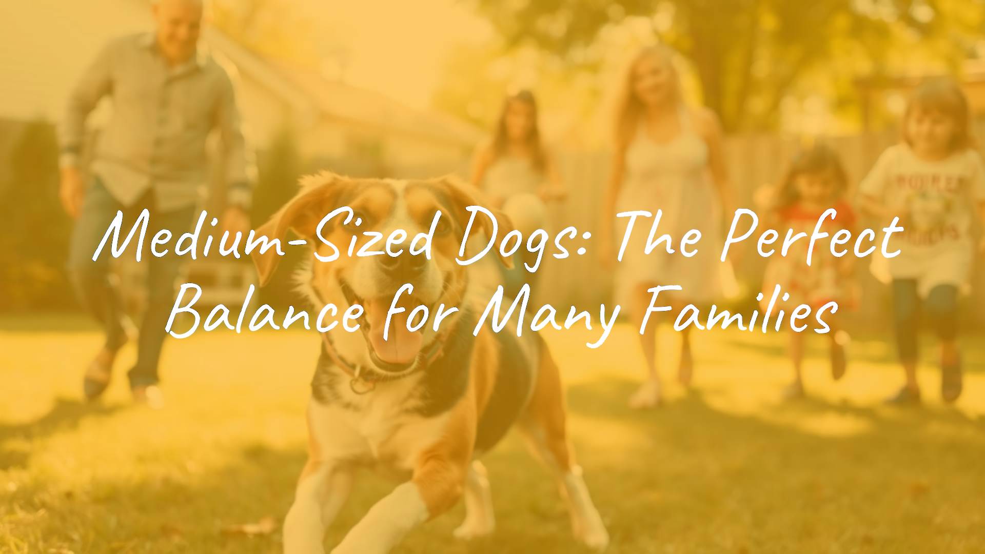 A happy medium-sized dog, such as a Beagle or Border Collie, playing in a sunny backyard with a family, vibrant colors, realistic.