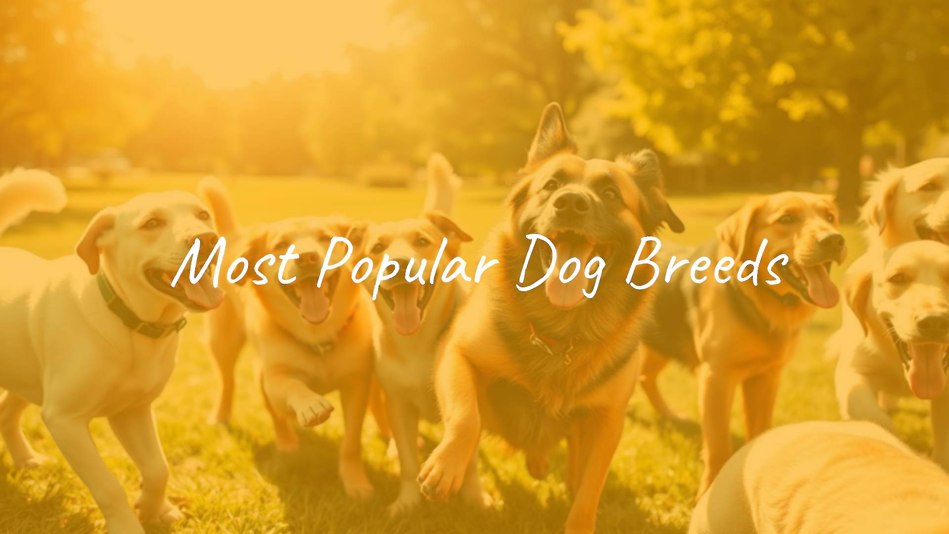 Group of popular dog breeds playing together in a sunny park, including Labrador Retriever, German Shepherd, and Golden Retriever, vibrant and joyful, realistic style.