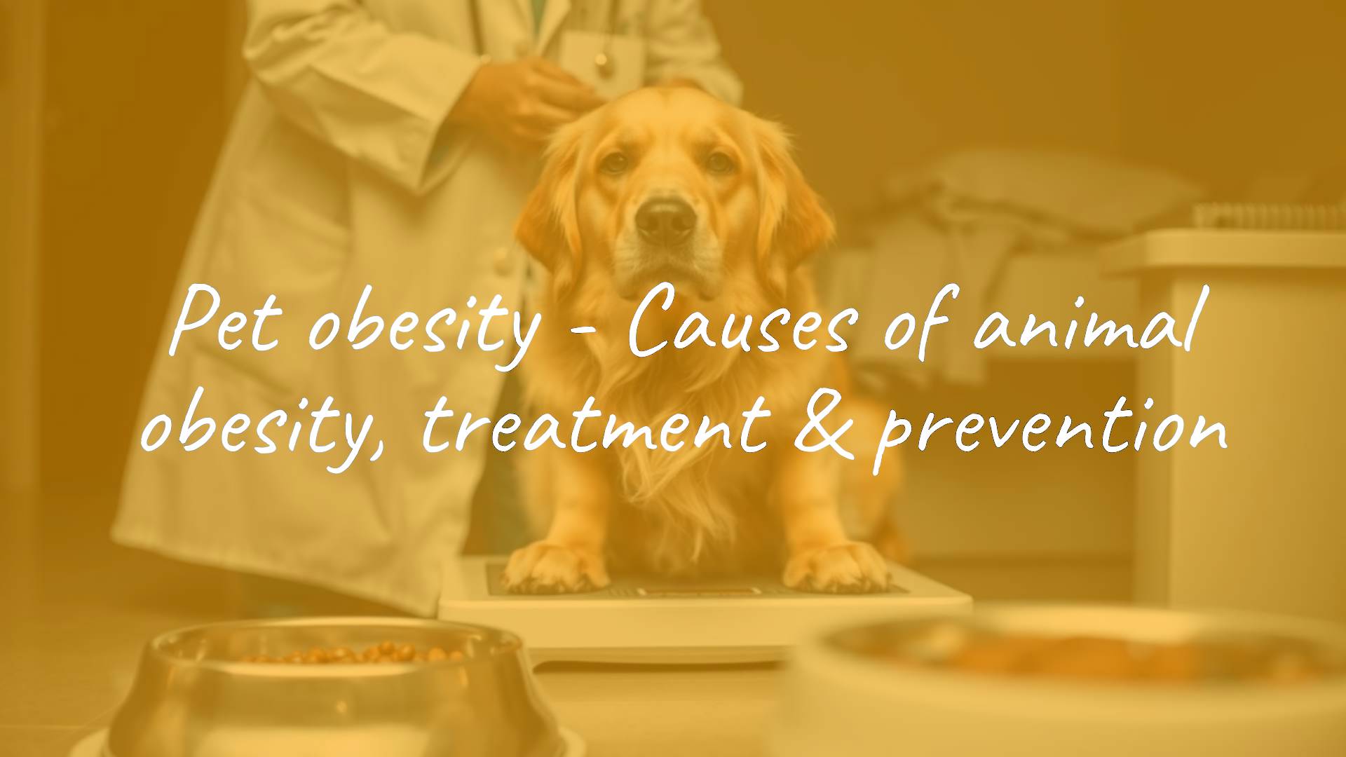 A visibly overweight golden retriever sitting on a scale, sad expression, veterinarian in white coat examining, pet food bowl in foreground, muted colors, realistic style.