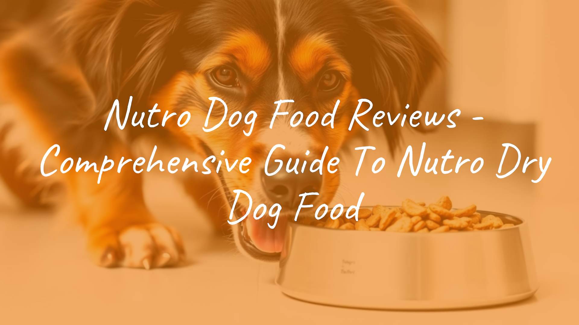 Healthy dog eating Nutro dry dog food from a bowl, happy expression, clean background, natural lighting, realistic style.