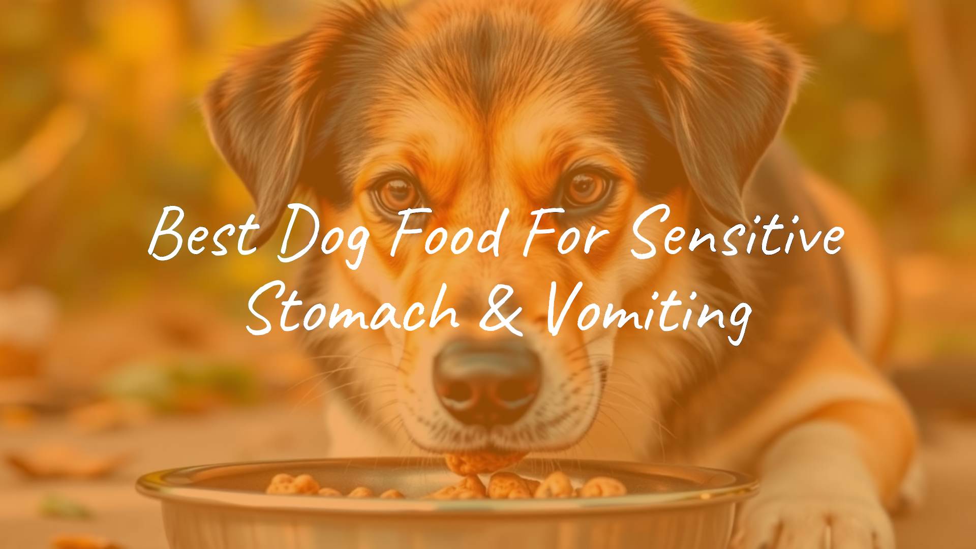 Healthy dog eating specialized food from a bowl, clean and shiny coat, bright eyes, soft lighting, natural background, realistic.