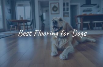 Durable wooden flooring with a playful golden retriever standing on it, scratch-resistant surface, well-lit modern home interior, realistic.
