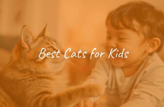 A calm, friendly cat playing with a happy child in a cozy home setting, warm lighting, heartwarming.
