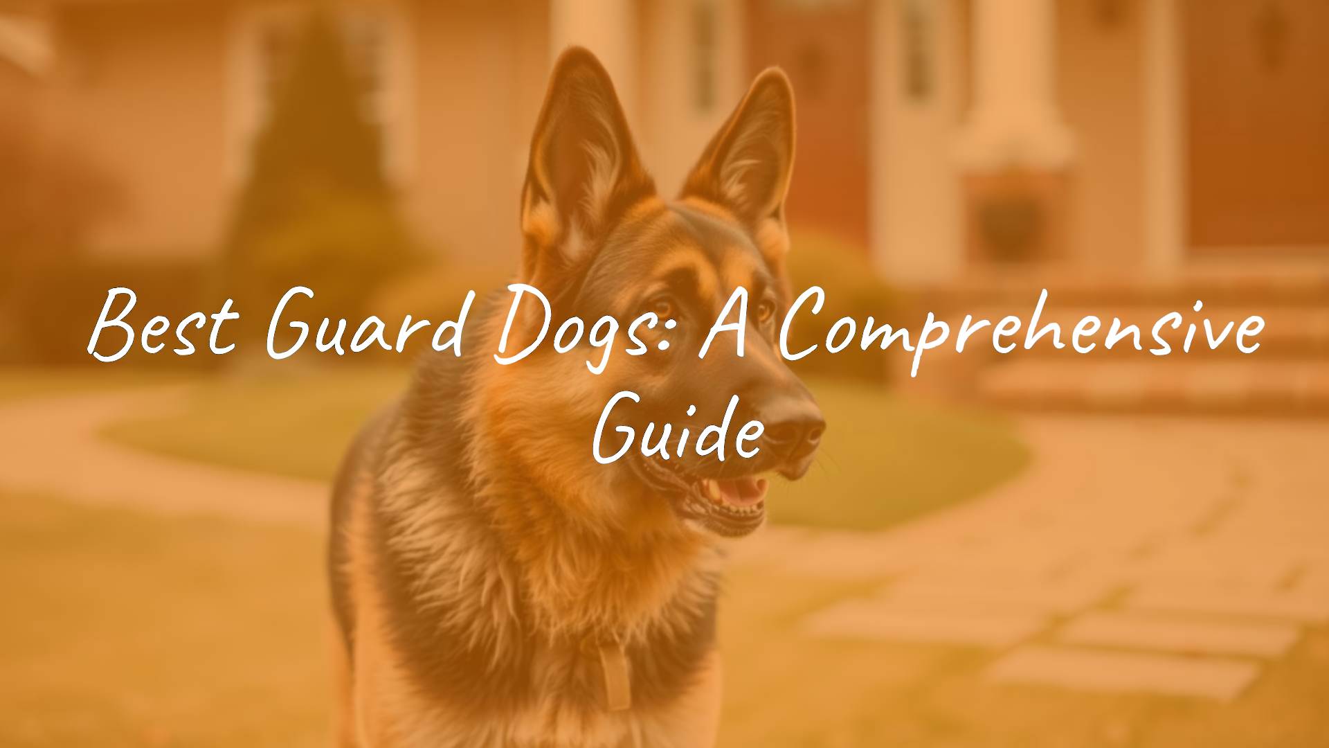A loyal German Shepherd standing guard in front of a house, alert and protective, realistic style.