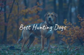 A focused hunting dog in a forest, alert stance, autumn foliage, realistic.