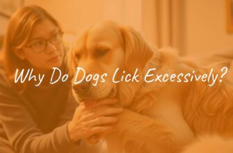 A concerned dog owner examining a golden retriever licking its paw excessively, warm indoor lighting, realistic style.