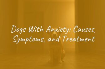 A sad-looking dog sitting alone in a dimly lit room, showing signs of anxiety, realistic style.