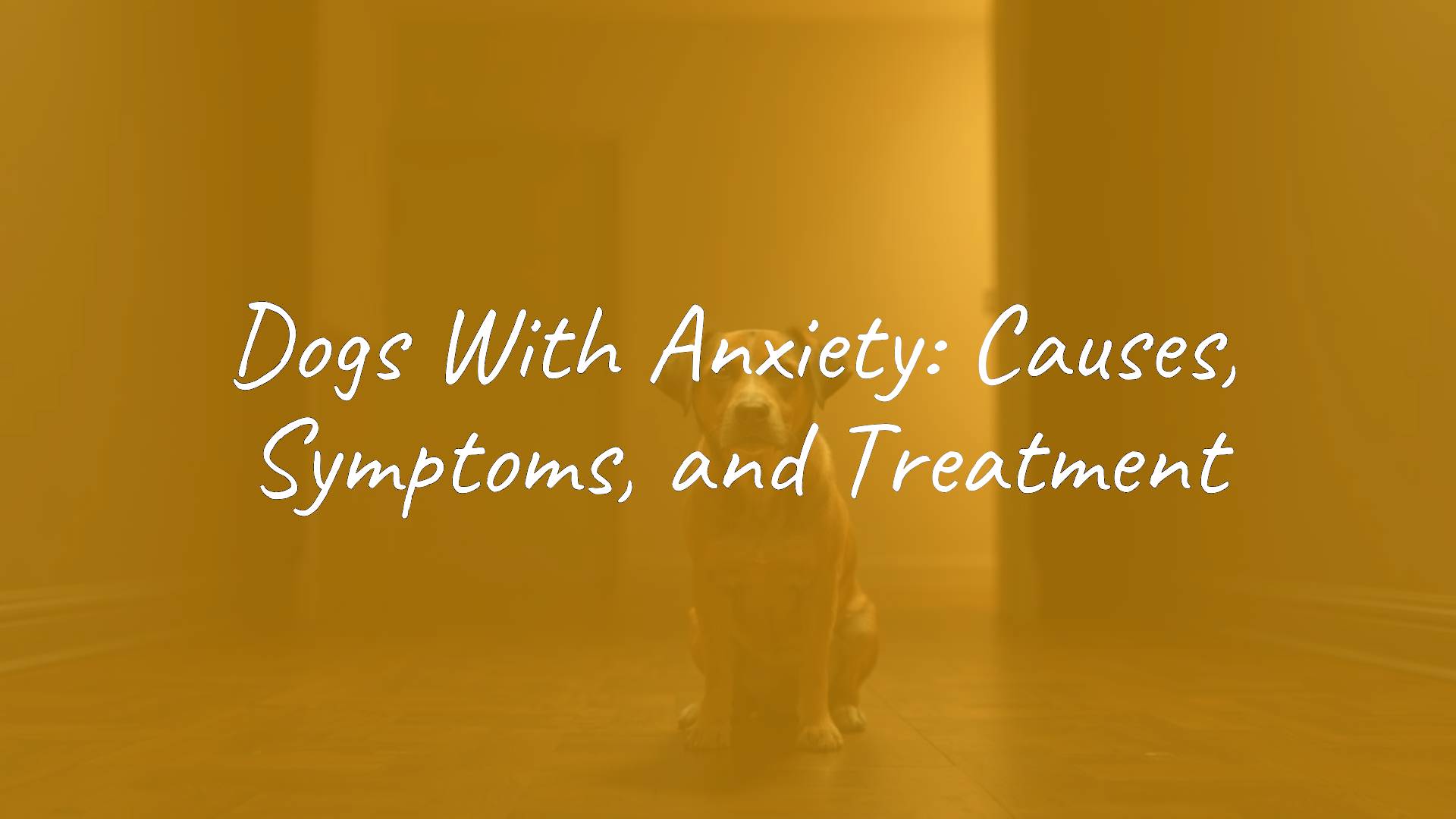 A sad-looking dog sitting alone in a dimly lit room, showing signs of anxiety, realistic style.