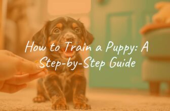 A happy puppy sitting obediently, trainer giving a treat, warm home environment, realistic.