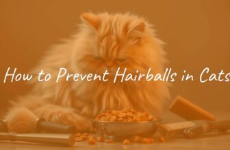 A fluffy cat grooming itself, surrounded by grooming tools like brushes and combs, with a bowl of hairball-control cat food nearby, soft lighting, realistic style.