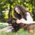 Best Dog Food For Puppies