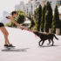 Normal Dog Behaviors People Are Concerned About
