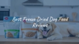 Best Freeze Dried Dog Food Reviews