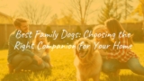 Best Family Dogs: Choosing the Right Companion for Your Home
