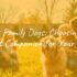 Best Guard Dogs: A Comprehensive Guide