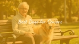 Best Dogs for Seniors