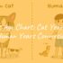 Can Dogs Have Autism?