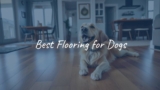 Best Flooring for Dogs