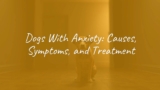 Dogs With Anxiety: Causes, Symptoms, and Treatment