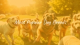 Most Popular Dog Breeds