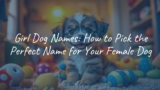 Girl Dog Names: How to Pick the Perfect Name for Your Female Dog