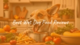 Best Wet Dog Food Reviews