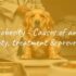 Best Dog Food For Sensitive Stomach & Vomiting