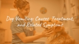 Dog Vomiting: Causes, Treatment, and Related Symptoms