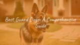 Best Guard Dogs: A Comprehensive Guide