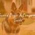 Best Family Dogs: Choosing the Right Companion for Your Home